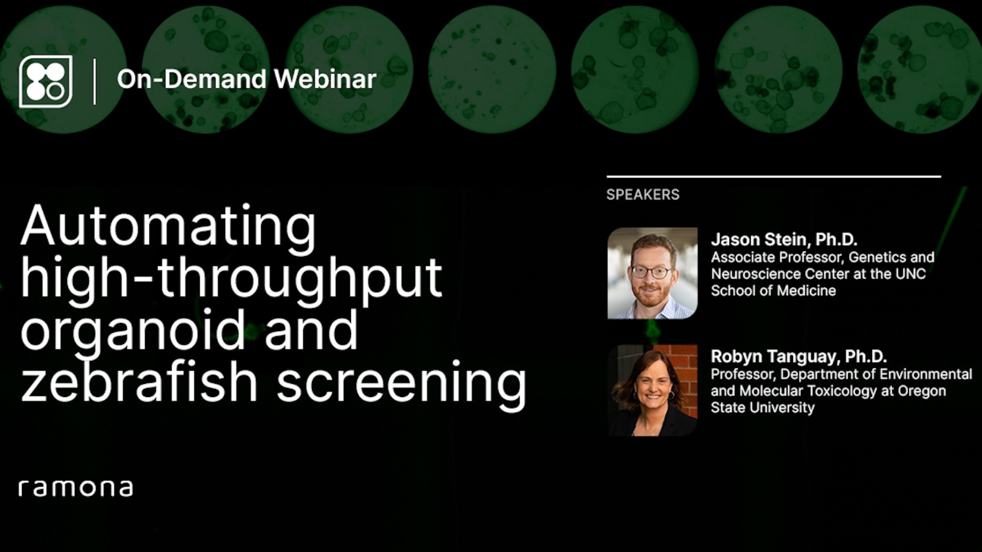 Automating Excessive-Throughput Organoid & Zebrafish Screening Webinar