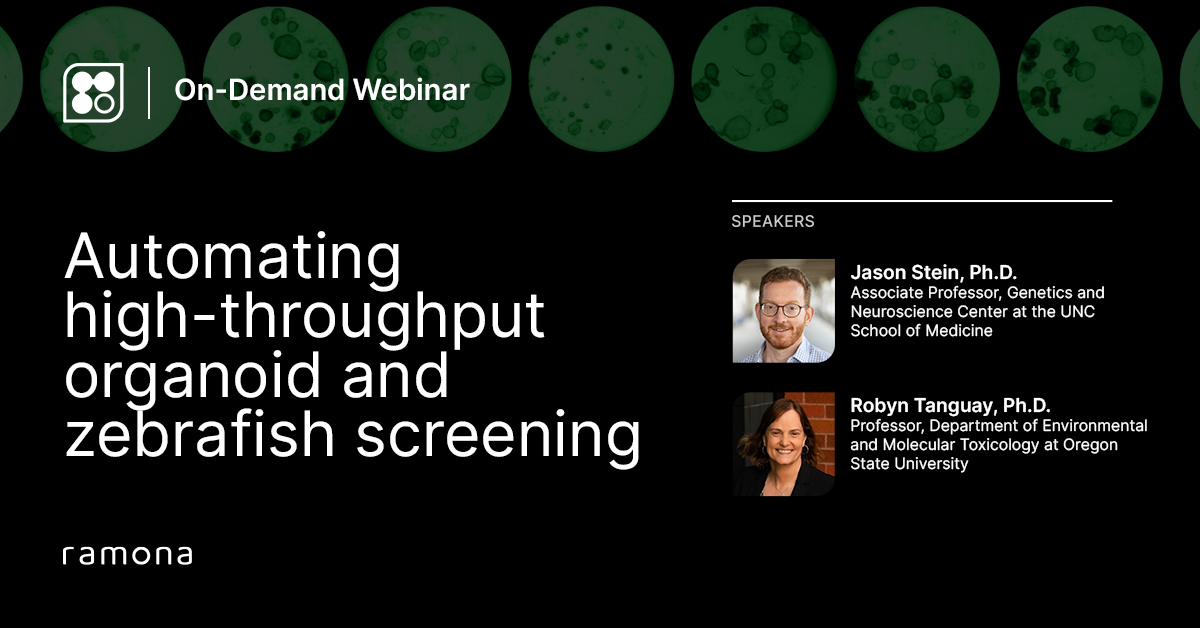 Automating Excessive-Throughput Organoid & Zebrafish Screening Webinar