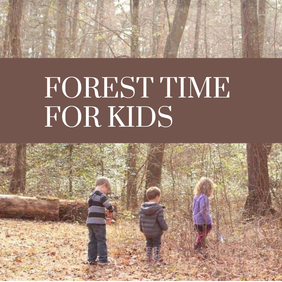 Significance of Nature and Forest Time for Children