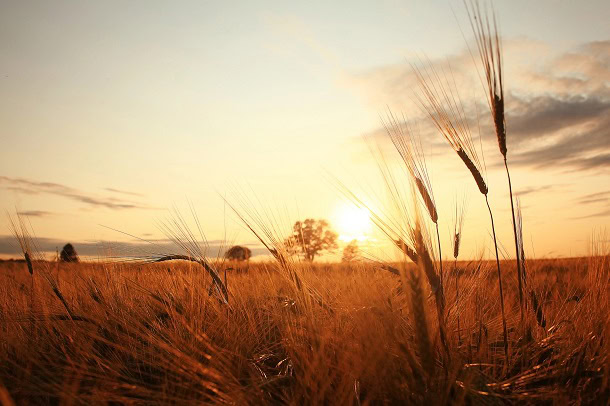 Humorous, Optimistic and Stunning Sayings for The Final Days of Summer time